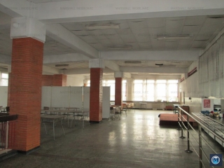 Spatiu industrial de vanzare, zona Sud, 5043.86 mp