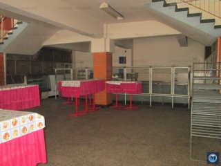 Spatiu industrial de vanzare, zona Sud, 5043.86 mp