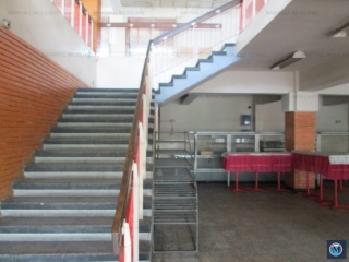 Spatiu industrial de vanzare, zona Sud, 5043.86 mp