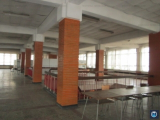 Spatiu industrial de vanzare, zona Sud, 5043.86 mp