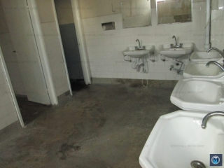 Spatiu industrial de vanzare, zona Sud, 5043.86 mp