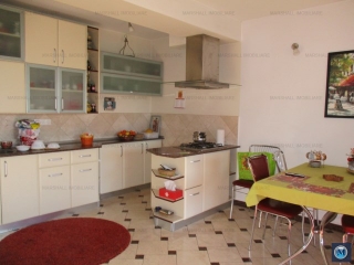 Vila cu 5 camere de vanzare, zona Albert, 320.42 mp