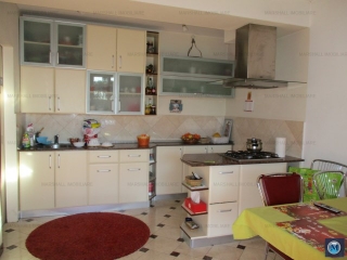 Vila cu 5 camere de vanzare, zona Albert, 320.42 mp