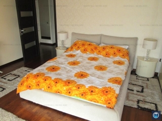 Apartament 3 camere de vanzare, zona Albert, 211 mp