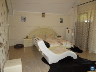 Vila cu 7 camere de vanzare in Paulestii Noi, 243 mp
