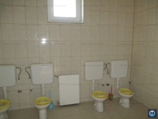 Vila cu 7 camere de vanzare in Strejnicu, 344.22 mp