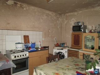 Vila cu 6 camere de vanzare, zona Parcul Tineretului, 133 mp