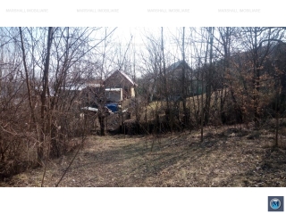 Teren intravilan de vanzare in Cotofenesti, 1263 mp
