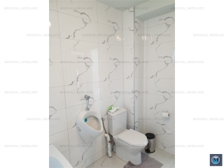 Vila cu 4 camere de vanzare in Paulesti, 160 mp