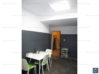 Vila cu 7 camere de vanzare, zona P-ta Mihai Viteazu, 323.55 mp
