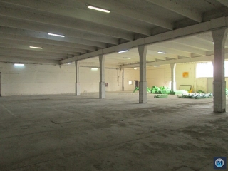 Spatiu industrial de inchiriat, zona Nord, 3500 mp