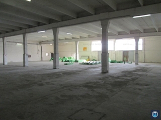 Spatiu industrial de inchiriat, zona Nord, 3500 mp