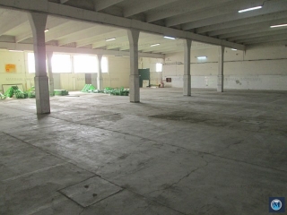 Spatiu industrial de inchiriat, zona Nord, 3500 mp