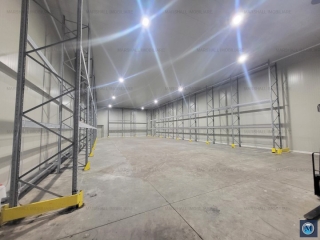 Spatiu industrial de inchiriat, zona Nord, 3500 mp