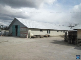 Spatiu industrial de vanzare, zona Exterior Est, 1230 mp