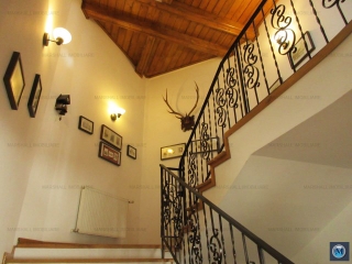 Vila cu 6 camere de vanzare, zona Albert, 355.63 mp