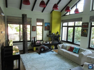 Vila cu 4 camere de vanzare, zona Ultracentral, 332 mp