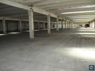 Spatiu industrial de inchiriat, zona Vest, 4884 mp