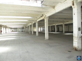 Spatiu industrial de inchiriat, zona Vest, 4884 mp