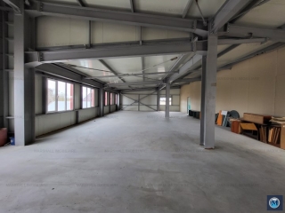 Spatiu industrial de vanzare, zona Exterior Vest, 798.55 mp