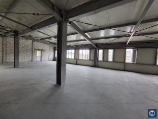 Spatiu industrial de vanzare, zona Exterior Vest, 798.55 mp