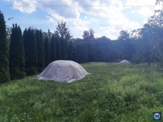 Casa cu 4 camere de vanzare in Teisani, 140.82 mp