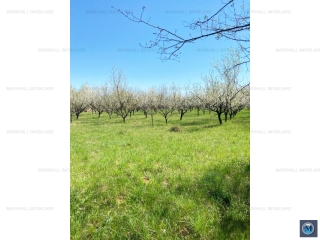 Teren intravilan de vanzare in Baicoi, 4036 mp