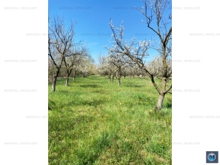 Teren intravilan de vanzare in Baicoi, 4036 mp