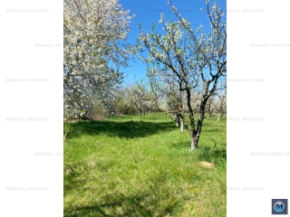 Teren intravilan de vanzare in Baicoi, 4036 mp