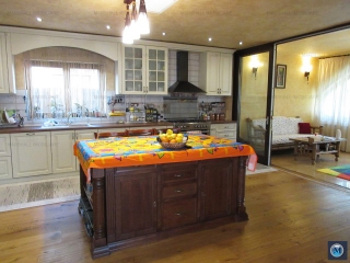 Vila cu 5 camere de inchiriat, zona Traian, 352.1 mp