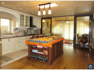 Vila cu 5 camere de inchiriat, zona Traian, 352.1 mp