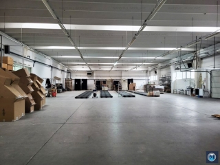 Spatiu industrial de vanzare in Lipanesti, 4955 mp