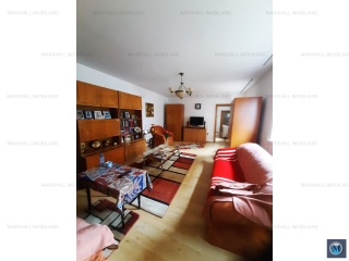 Vila cu 11 camere de vanzare, zona Gheorghe Doja, 237.7 mp