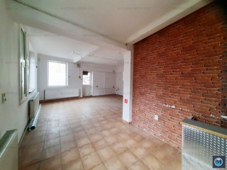 Vila cu 11 camere de vanzare, zona Gheorghe Doja, 237.7 mp