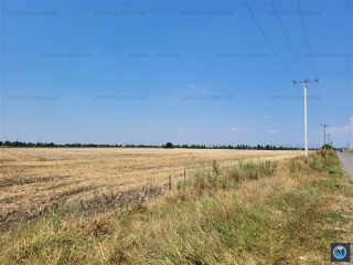 Teren intravilan de vanzare, zona Exterior Sud, 9903 mp