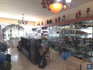 Spatiu  birouri de vanzare in Tantareni, 292.88 mp