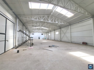 Spatiu industrial de vanzare in Strejnicu, 415 mp