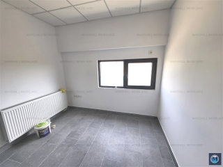 Spatiu industrial de vanzare in Strejnicu, 415 mp