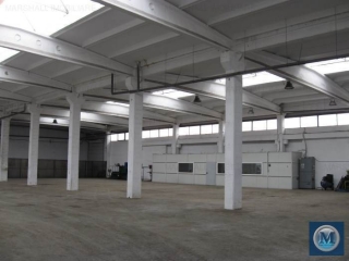 Spatiu industrial de vanzare in Pleasa, 1500 mp