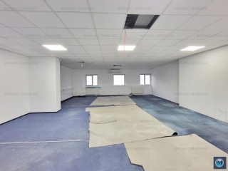 Spatiu industrial de vanzare in Aricestii Rahtivani