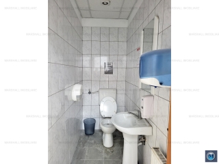 Spatiu industrial de vanzare in Aricestii Rahtivani
