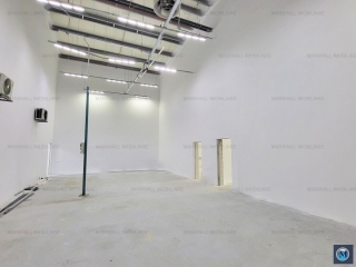 Spatiu industrial de vanzare in Aricestii Rahtivani