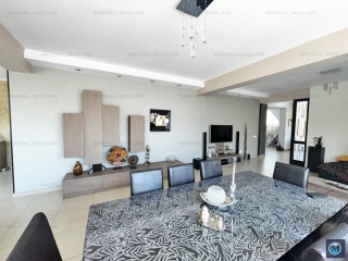 Vila cu 6 camere de vanzare, zona Cantacuzino, 217 mp