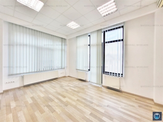 Spatiu  birouri de inchiriat, zona Gheorghe Doja, 351 mp