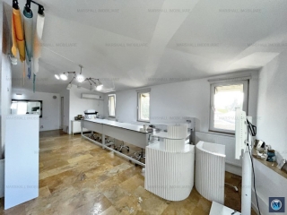 Vila cu 6 camere de inchiriat, zona Ana Ipatescu, 197.24 mp