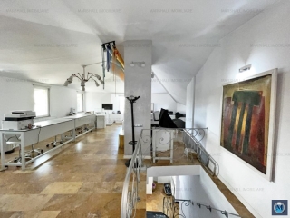 Vila cu 6 camere de inchiriat, zona Ana Ipatescu, 197.24 mp