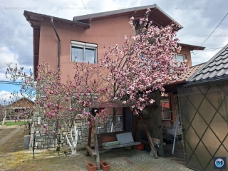 Vila cu 5 camere de vanzare in Paulesti, 300 mp