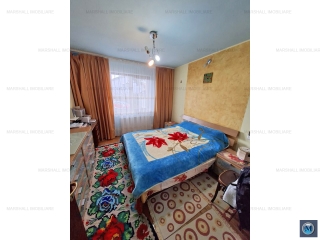 Vila cu 5 camere de vanzare, zona Albert, 290 mp