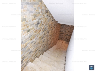 Vila cu 5 camere de vanzare in Paulesti, 380 mp