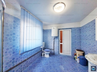 Casa cu 4 camere de vanzare in Strejnicu, 148 mp